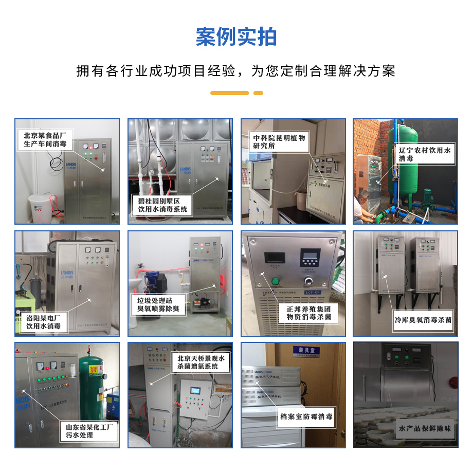 水处置惩罚臭氧爆发器