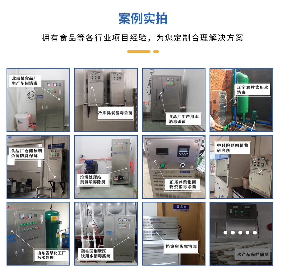 食物厂用臭氧爆发器
