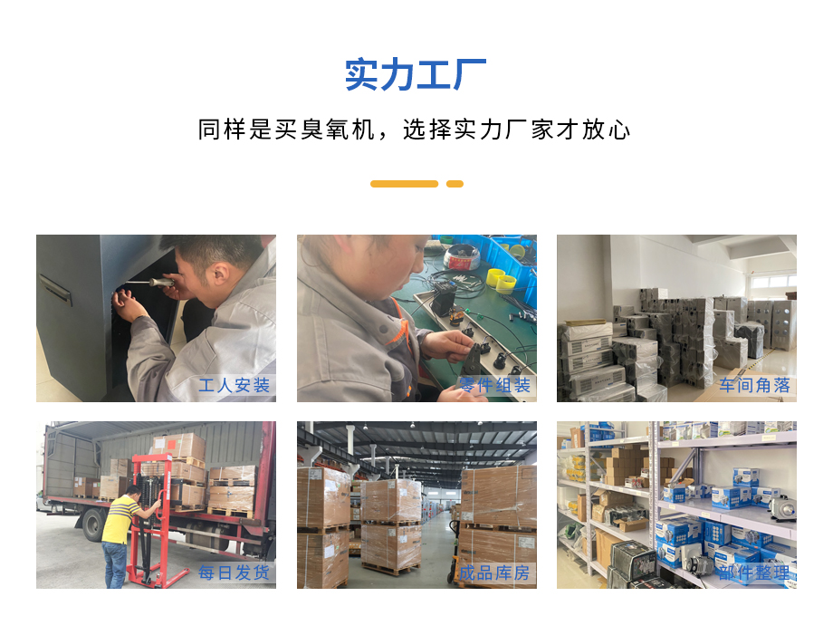 食物厂用臭氧爆发器厂家直销