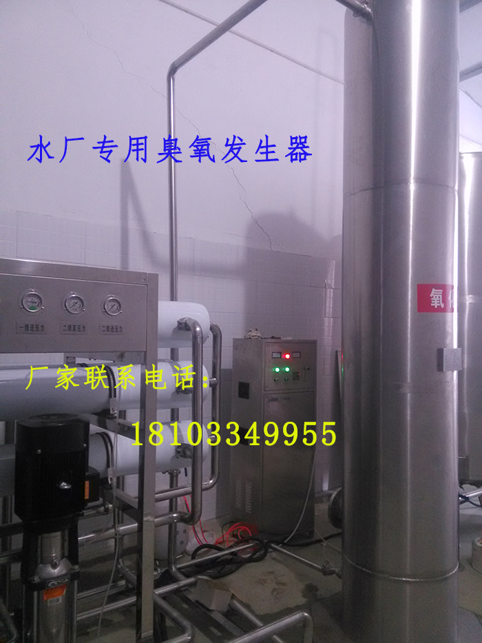 水厂专用臭氧爆发器