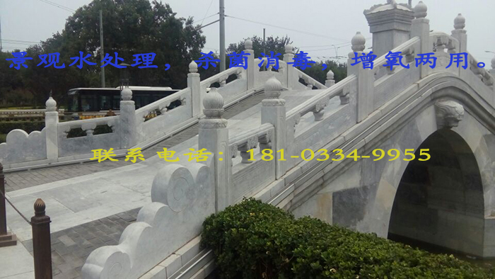 景观水处置惩罚用臭氧爆发器